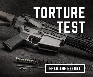 P-308 Full Auto torture test review